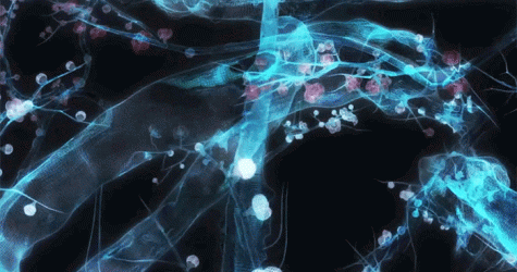 \"Цифровой опыт\" в галерее Pace: выставка японцев Teamlab