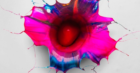 Фабиан Офнер превращает брызги краски в орхидеи