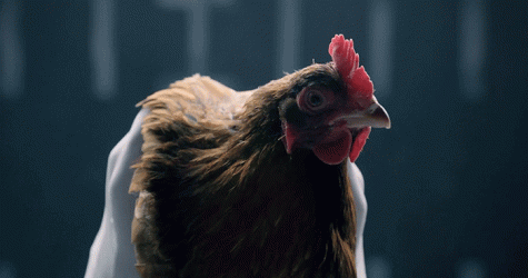 Война миров: Jaguar против Mercedes-Benz