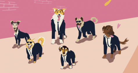 Ресторан Tilda Food & Bar запускает акцию совместно с фондом «Твое собачье дело»