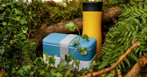 Раздел экологичных товаров Lamoda теперь доступен в России, Беларуси, Казахстане и Украине