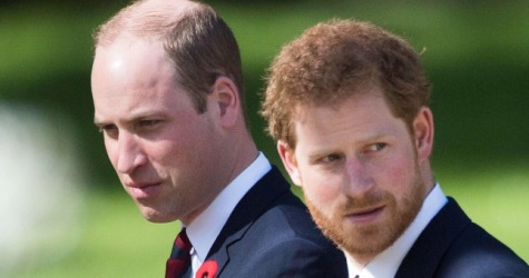 Принц Гарри поговорил с принцем Уильямом после интервью Опры Уинфри