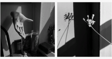 Фотограф Ларри Финк представил серию снимков, сделанную во время пандемии