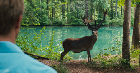 В «Художественном» пройдет кинофестиваль Франкофонии