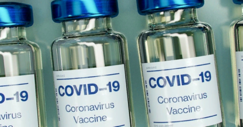 В ВОЗ заявили, что делать прививку от коронавируса можно при любом уровне антител