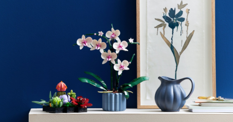 LEGO представила орхидеи и суккуленты как часть «Ботанической коллекции»