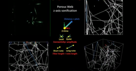 Ученые Массачусетского технологического института показали, как звучит паутина