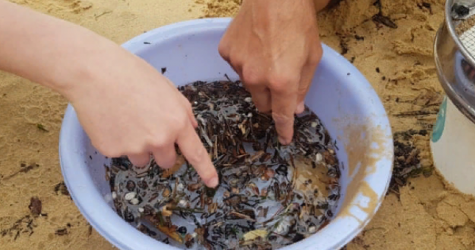 Ученые смогли очистить воду от микропластика с помощью бактерий