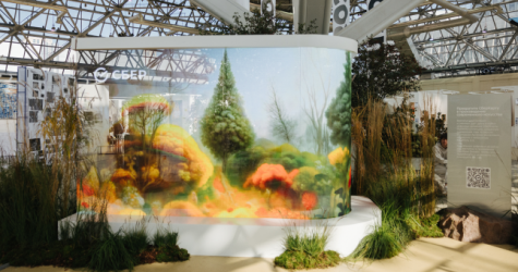 Более 30 тысяч человек посетили 11-ю ярмарку современного искусства Cosmoscow