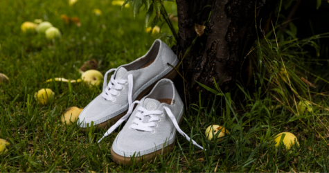 Vans представил новые кеды из экологичных материалов