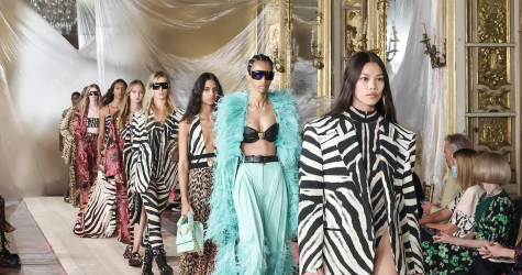 Компания Marquee Brands приобрела контрольный пакет акций Roberto Cavalli