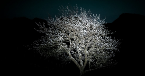 В музее «Эрарта» пройдет выставка швейцарско-итальянского художника Юри Катании