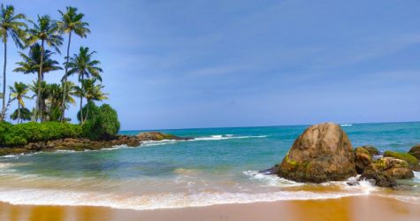 Шри-Ланка начала выдавать россиянам бесплатные визы