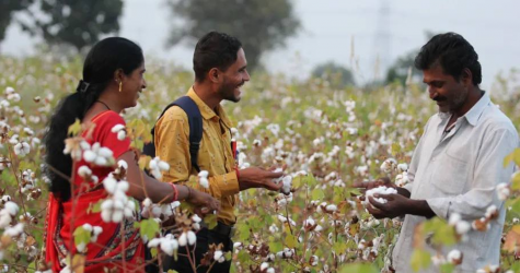 Regenerative Fund for Nature отчитался об успешных экологических показателях