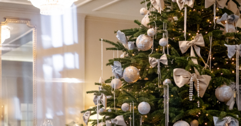 Отель «Англетер» представляет елку от компании edis в сотрудничестве с фондом «Друзья»