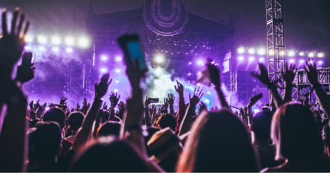 Фестиваль «Дикая мята» объявил ключевых артистов второго уик-энда