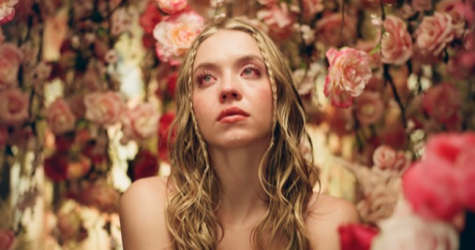 Актриса «Эйфории» Сидни Суини и певица Холзи сыграют в режиссерском дебюте Тони Тоста