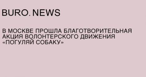 В Москве прошла благотворительная акция волонтерского движения «Погуляй собаку»