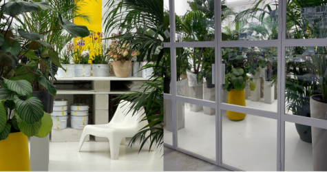 В магазине «Собран в саду» на Петровке открылась теплица с живыми растениями