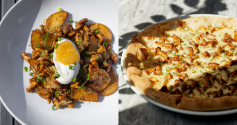 В ресторане КМ20 появились сезонные блюда с лисичками