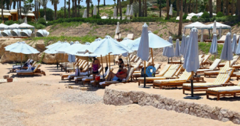 Россия возобновит рейсы в Доминикану, Бахрейн, Молдавию и на курорты Египта