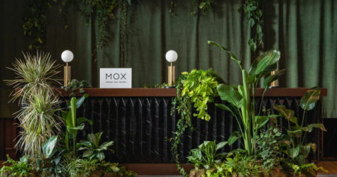 В «Художественном» открылся корнер флористического проекта «МОХ»