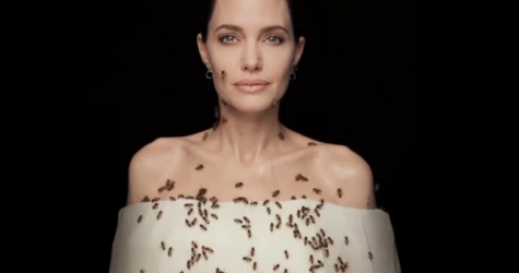 Анджелина Джоли снялась с роем пчел для National Geographic