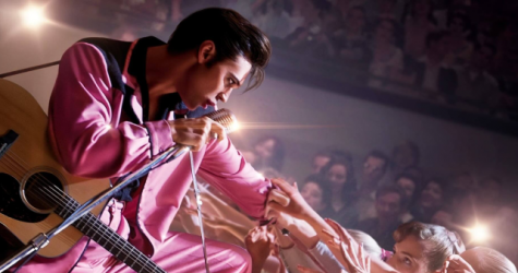 «Элвис» и «Тар»: стали известны номинанты на премию «Оскар»