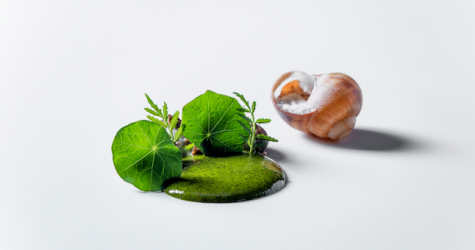 Ресторан Touch Chef’s Place & Bar представил новый гастрономический сет