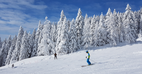 Российские лыжники не будут допущены до международных соревнований