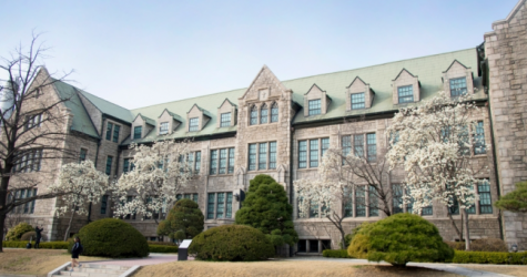 Dior планирует показать новую женскую коллекцию в Сеуле