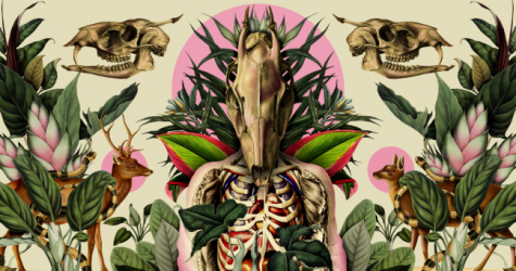 В пространстве «Третье место» продолжается выставка цифрового искусства