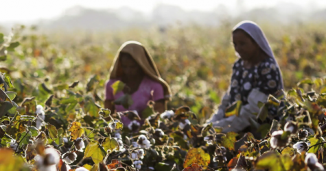 Inditex инвестируют 15 миллионов евро в Регенеративный фонд природы