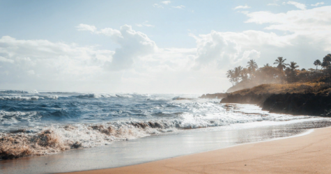 «Аэрофлот» возобновляет регулярные рейсы в Доминикану