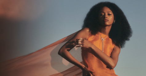 De Beers посвятил новую ювелирную коллекцию бабочкам