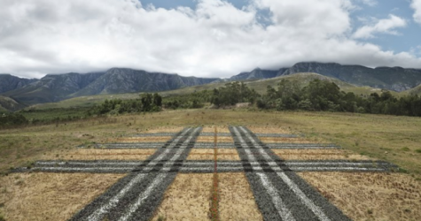 Burberry представил новую серию экологического проекта Burberry Landscapes