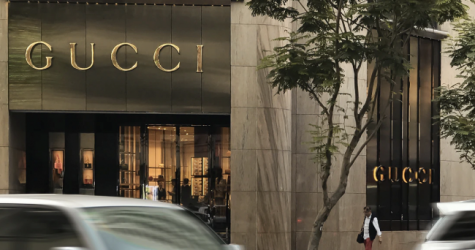 Семья Гуччи планирует снять собственный сериал об истории бренда Gucci