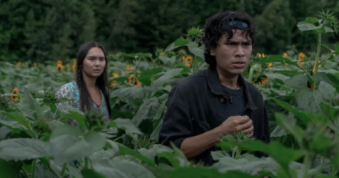 Появились первые кадры из приквела «Кладбища домашних животных»