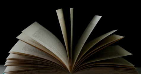 Маргарет Этвуд и Сьюзен Коллинз выступили против использования их книг ИИ