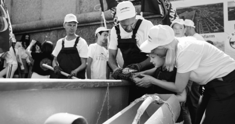 BelugaFarm провел благотворительную акцию по спасению рыб в Астрахани