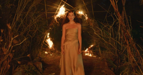 Лорд выпустила клип на песню «Fallen Fruit»