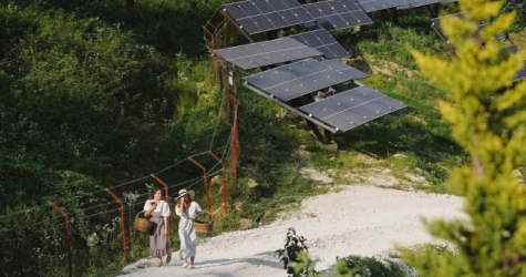 Суд удовлетворил иск Генпрокуратуры к бренду «Краснополянская косметика»