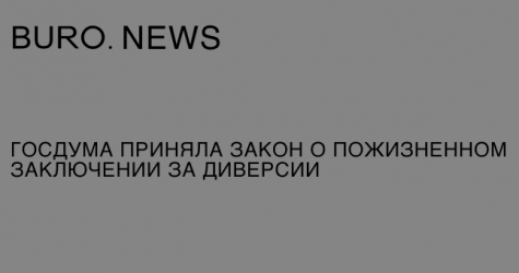 Госдума приняла закон о пожизненном заключении за диверсии