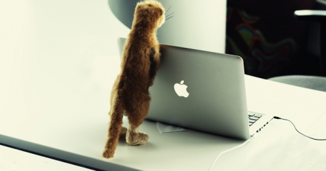 Экскурсия Buro 24/7: офис Mail.Ru Group