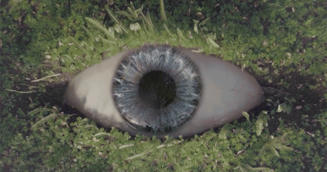 Песня дня: Empire of the Sun — High and Low