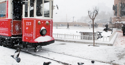 Домашнее чтение: отрывок из книги \"Убийца из города абрикосов\"