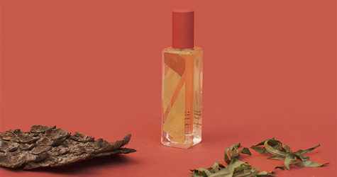 Аромат Whisky & Cedarwood от Jo Malone London — выбор Buro 24/7