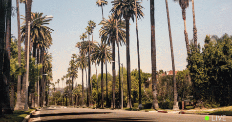 Прямая трансляция показа Burberry в Лос-Анджелесе