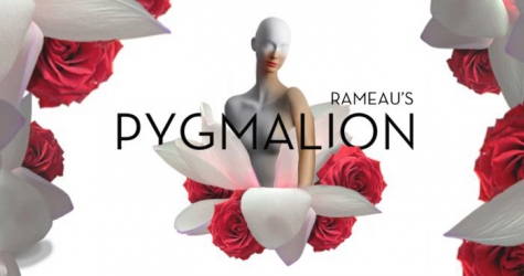 На Манхэттене состоится премьера оперы для владельцев Google Glass