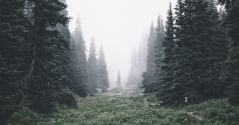 Куда бежать из Москвы и Петербурга на время чемпионата мира по футболу